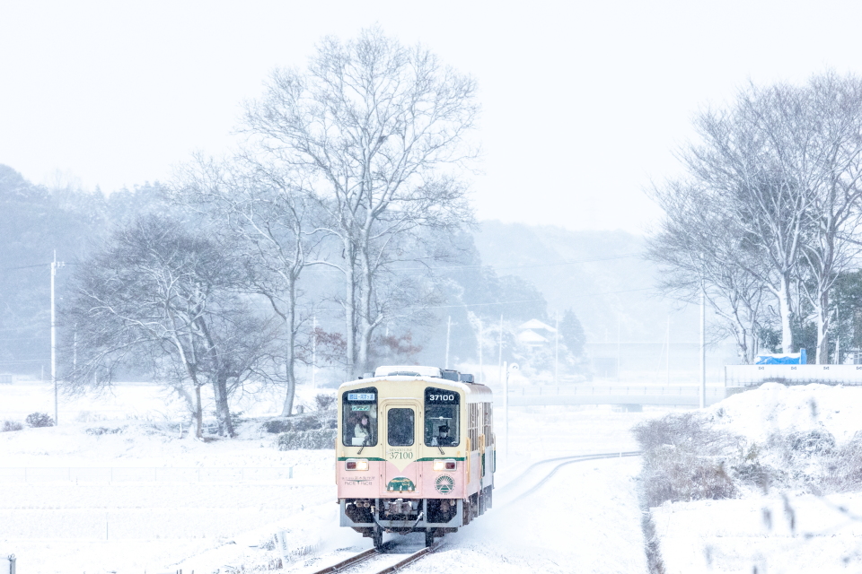 列車と雪